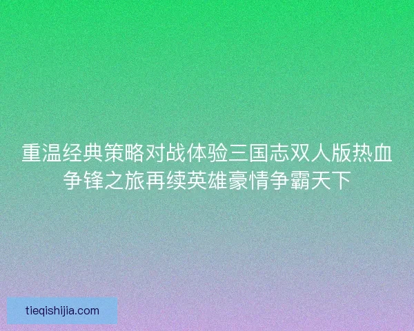 重温经典策略对战体验三国志双人版热血争锋之旅再续英雄豪情争霸天下