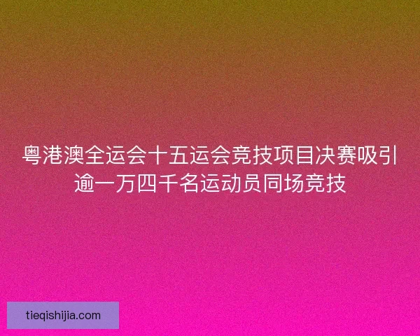 粤港澳全运会十五运会竞技项目决赛吸引逾一万四千名运动员同场竞技 粤港澳全运会十五运会竞技项目决赛吸引逾一万四千名运动员同场竞技