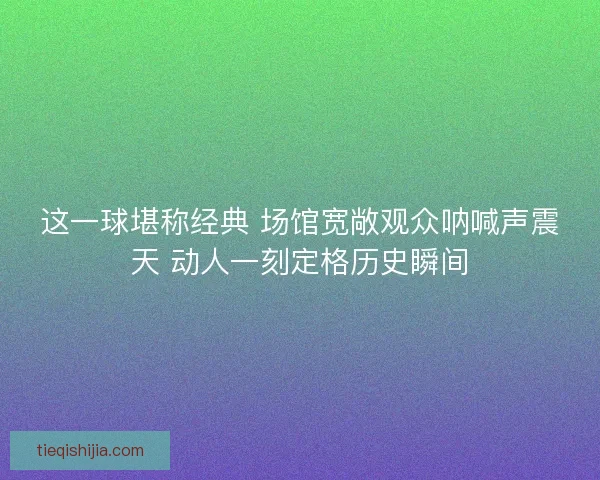 这一球堪称经典 场馆宽敞观众呐喊声震天 动人一刻定格历史瞬间