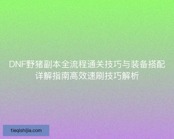 DNF野猪副本全流程通关技巧与装备搭配详解指南高效速刷技巧解析