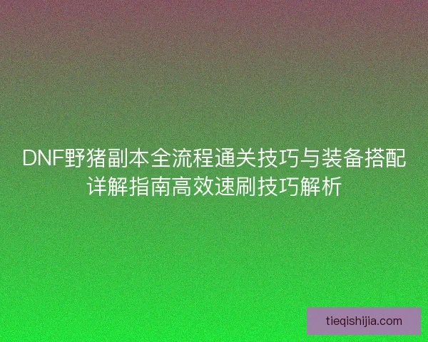 DNF野猪副本全流程通关技巧与装备搭配详解指南高效速刷技巧解析