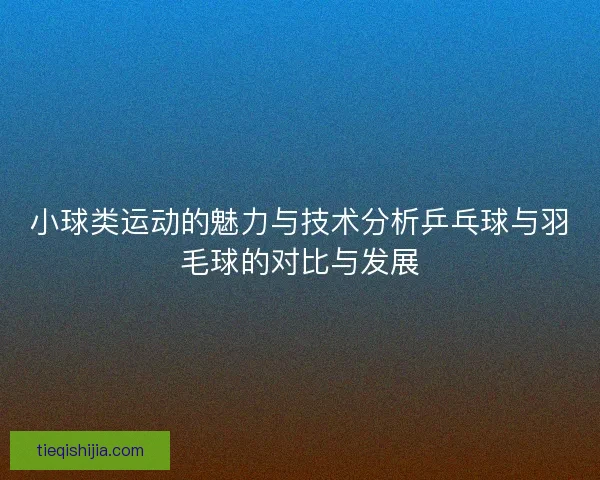 小球类运动的魅力与技术分析乒乓球与羽毛球的对比与发展