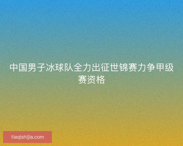 中国男子冰球队全力出征世锦赛力争甲级赛资格