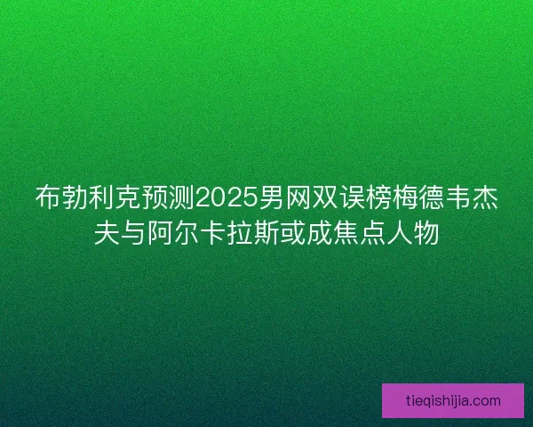 布勃利克预测2025男网双误榜梅德韦杰夫与阿尔卡拉斯或成焦点人物